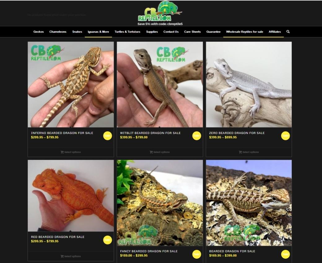 cb-reptile-leopard-gecko-breeder-site-screenshot