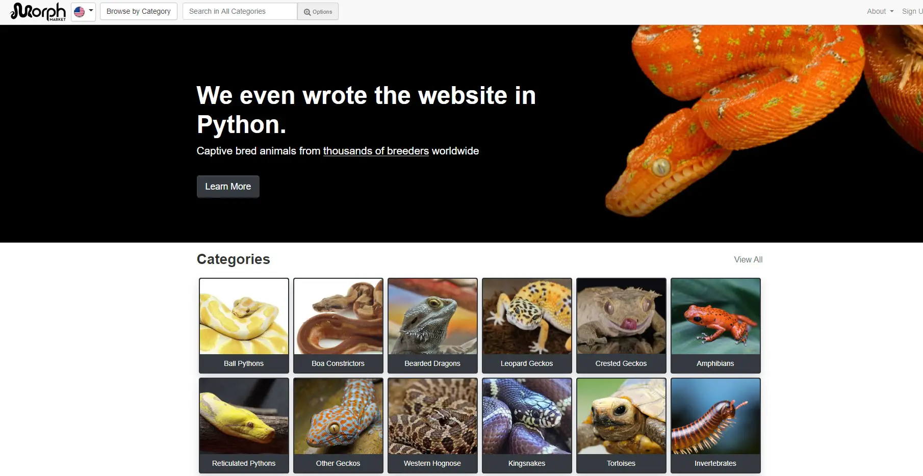morph-market-reptile-website