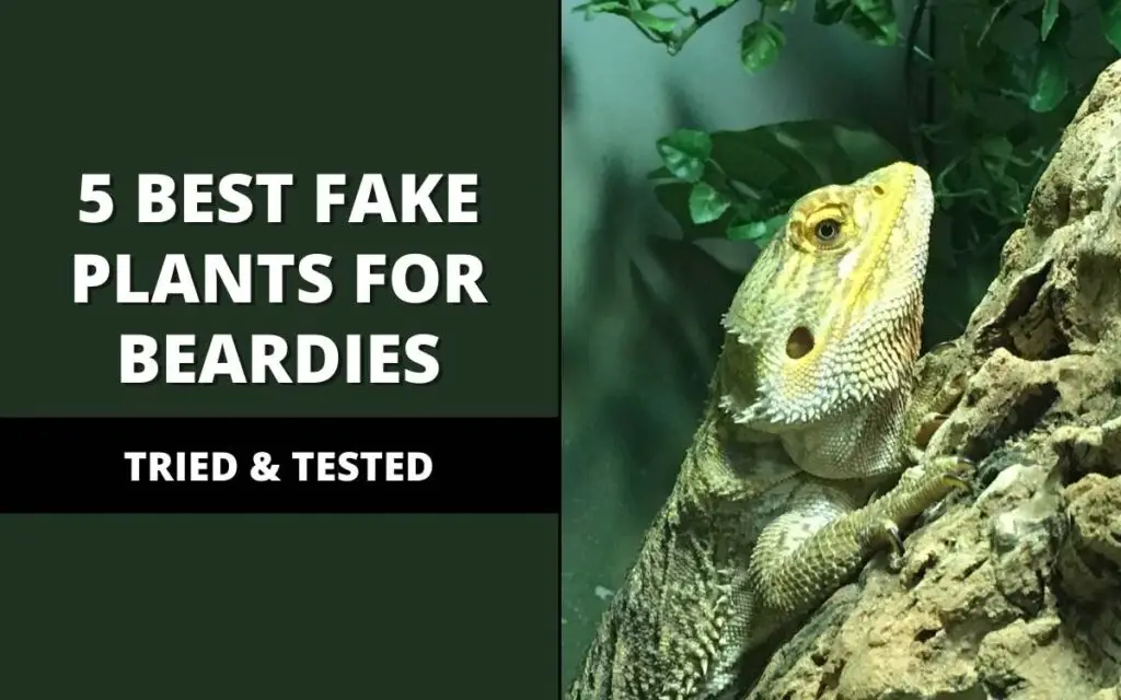 best fake plants for bearded dragons