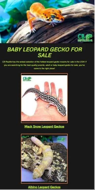 leopard-geckos-for-sale-on-cb-reptile