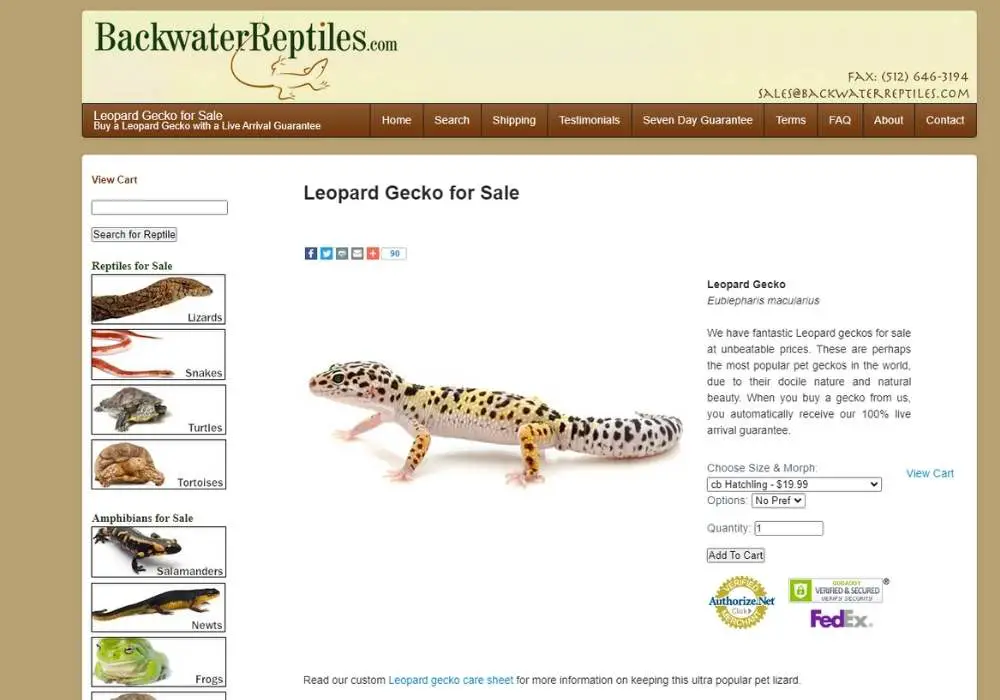 backwater-reptiles-leopard-gecko-breeder